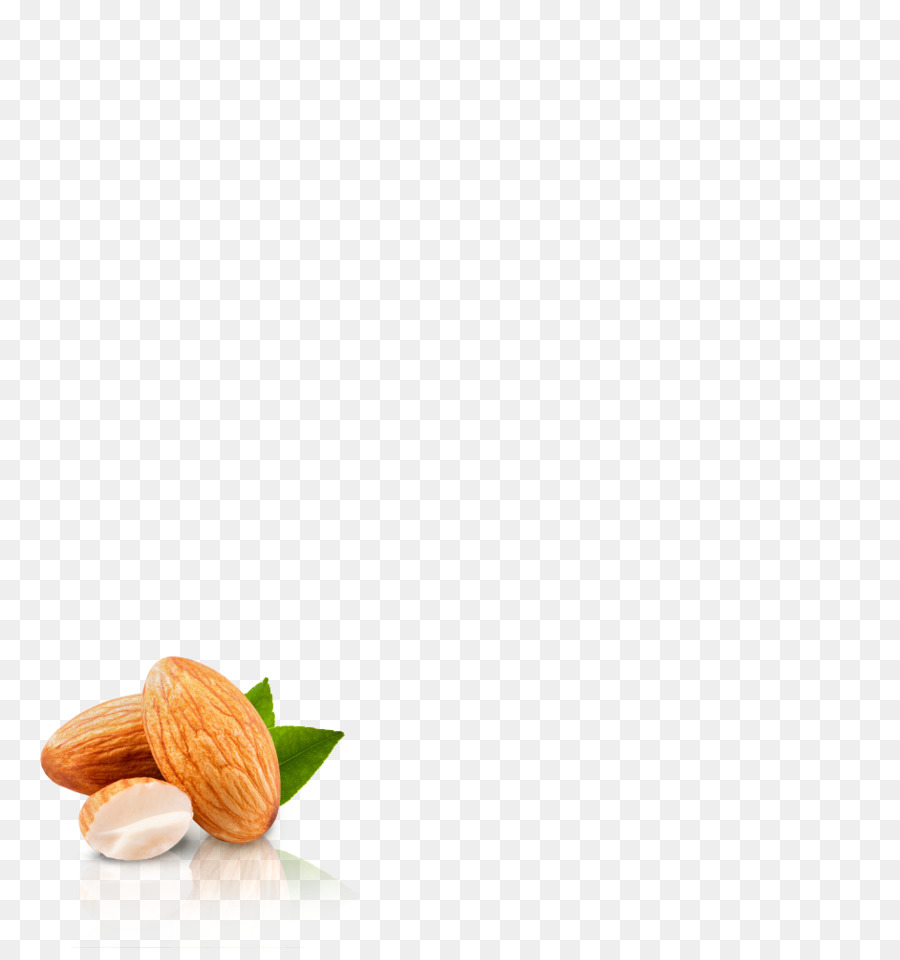 Alimento，Tuerca PNG