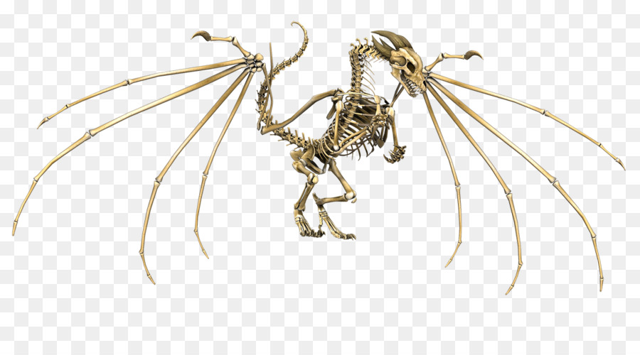 Dragón，Esqueleto PNG