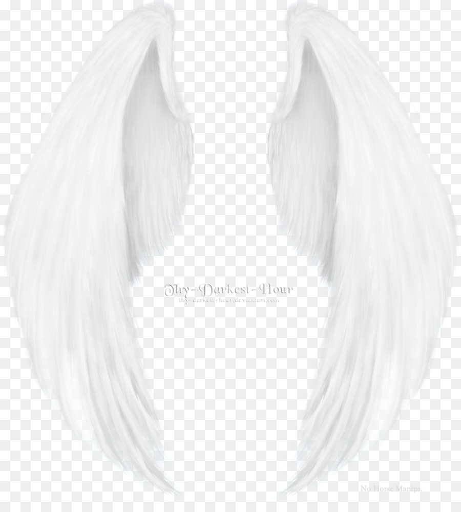 Alas Blancas，Ángel PNG