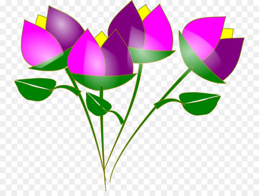 Flores Rosadas，Florecer PNG