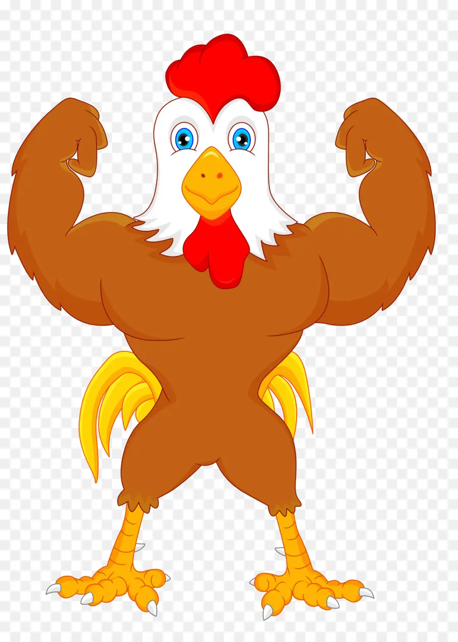 Gallo Musculoso，Pollo PNG