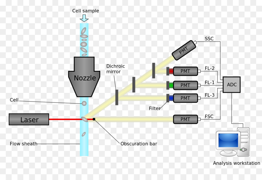 Diagrama De Citometría De Flujo，Láser PNG