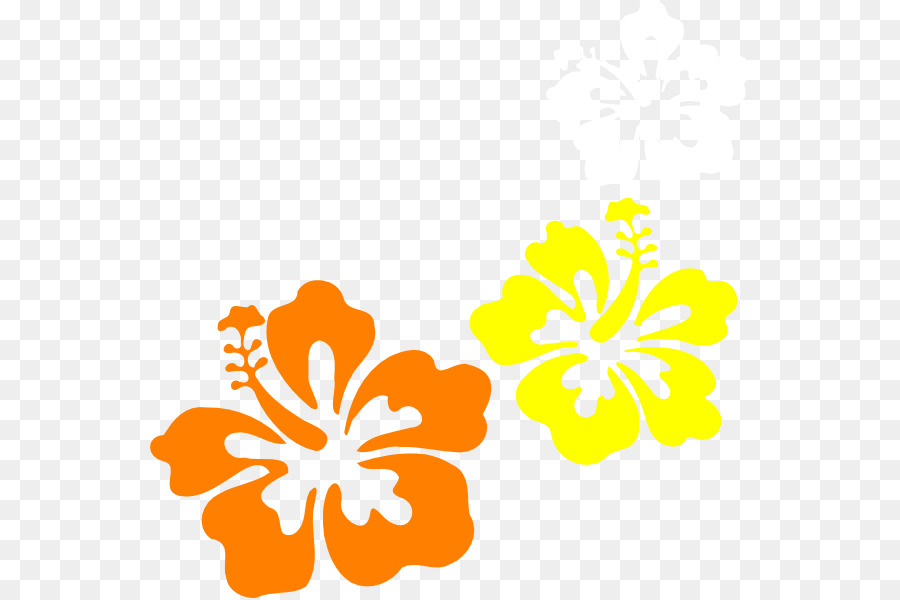 Dibujo，Hibiscus Hawaiian PNG