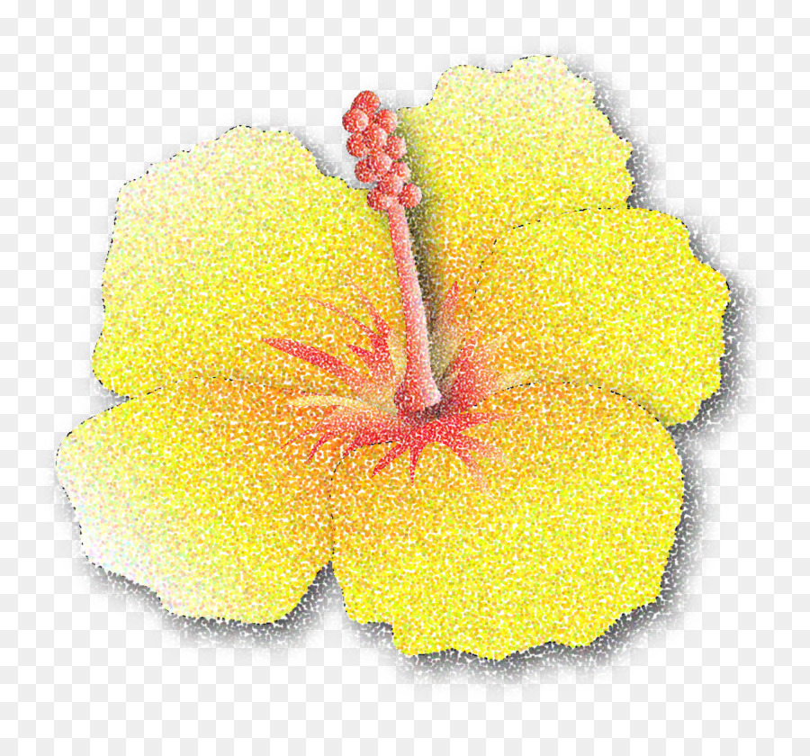 Mallows，Hibiscus PNG