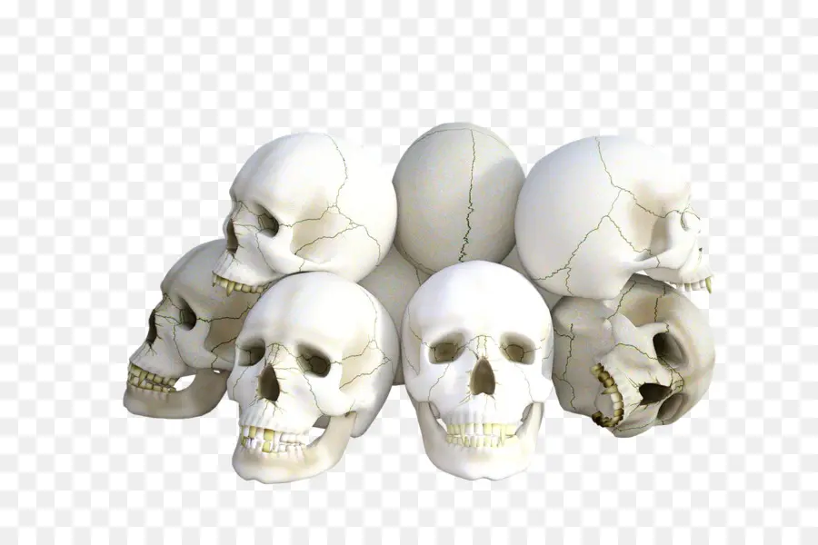 Calaveras，Huesos PNG