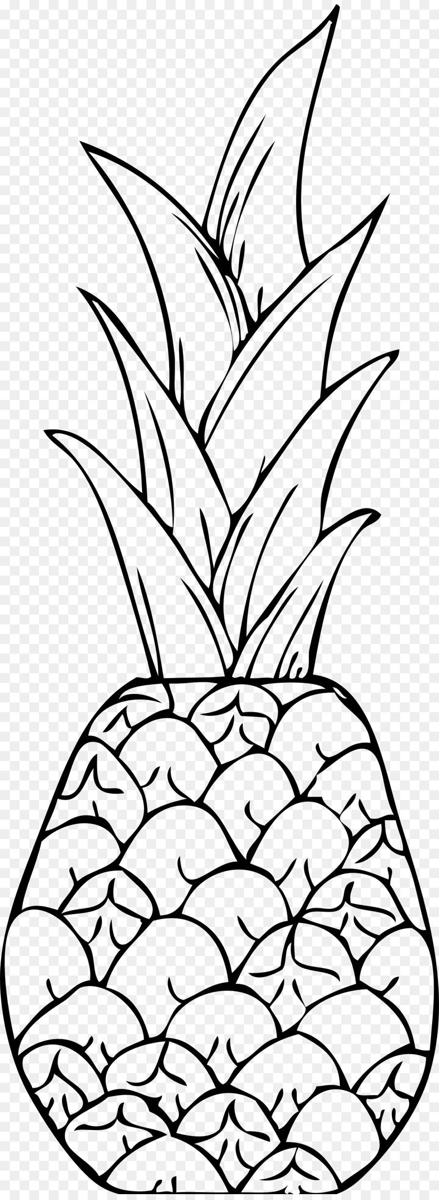 Piña，Dibujo PNG