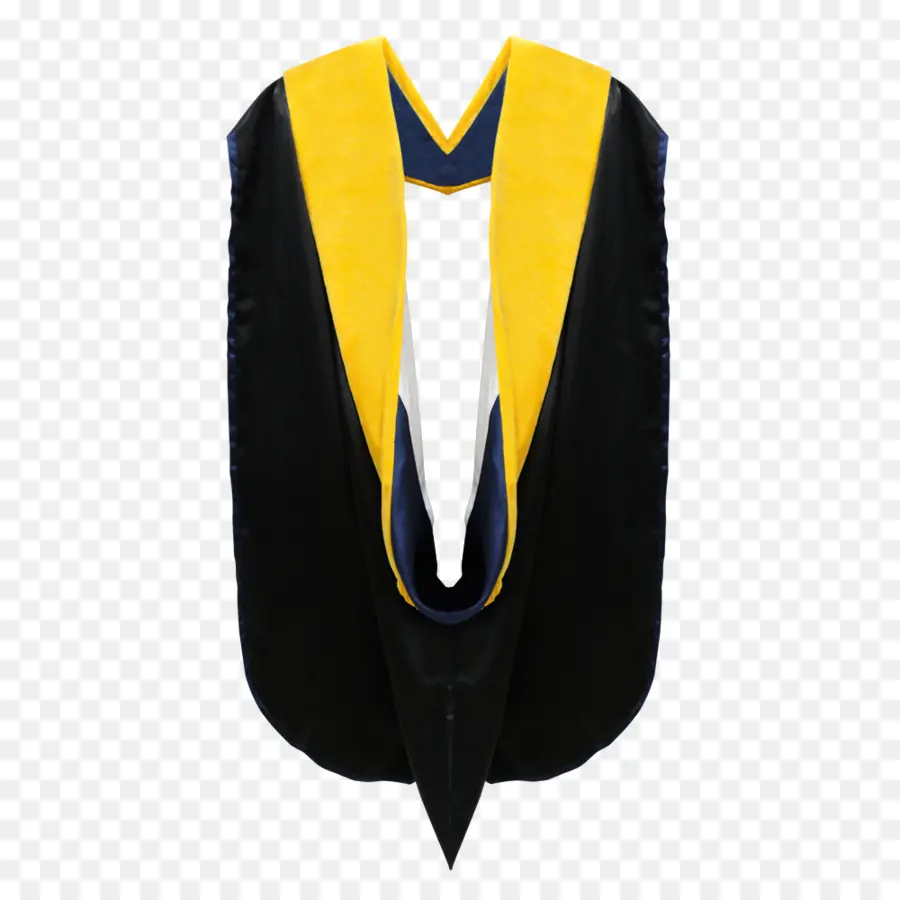 Capucha De Graduación，Académico PNG