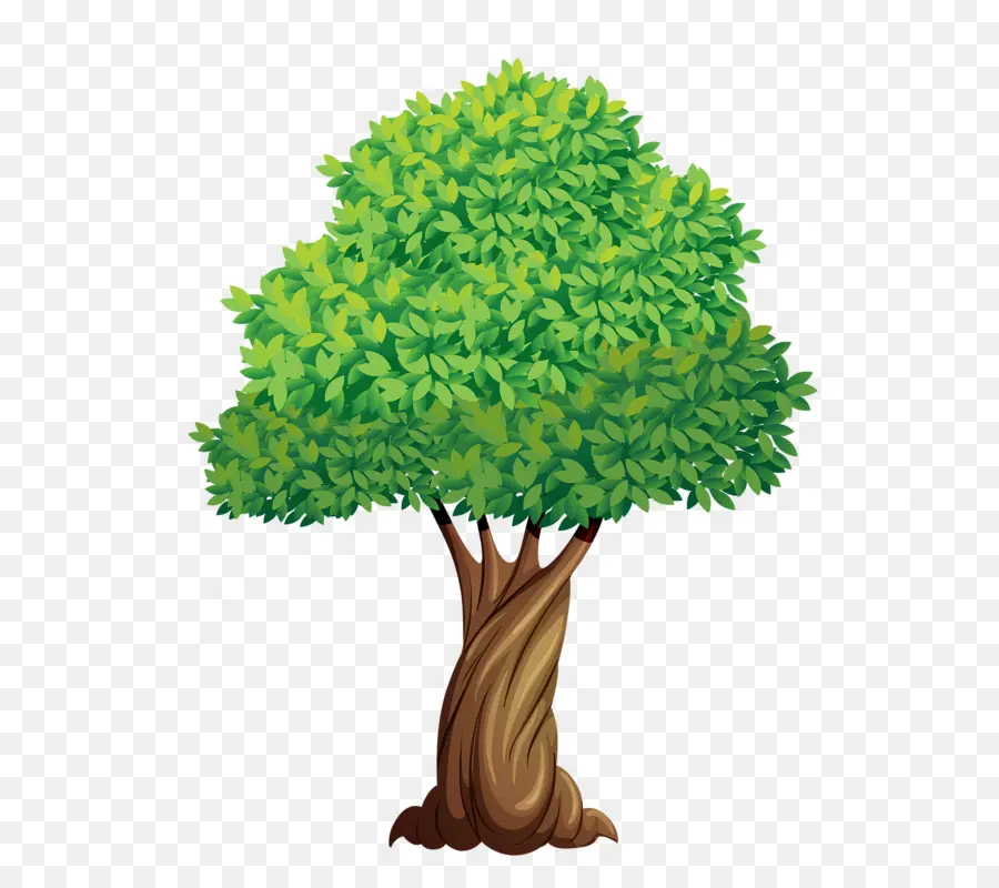 árbol，Hojas PNG