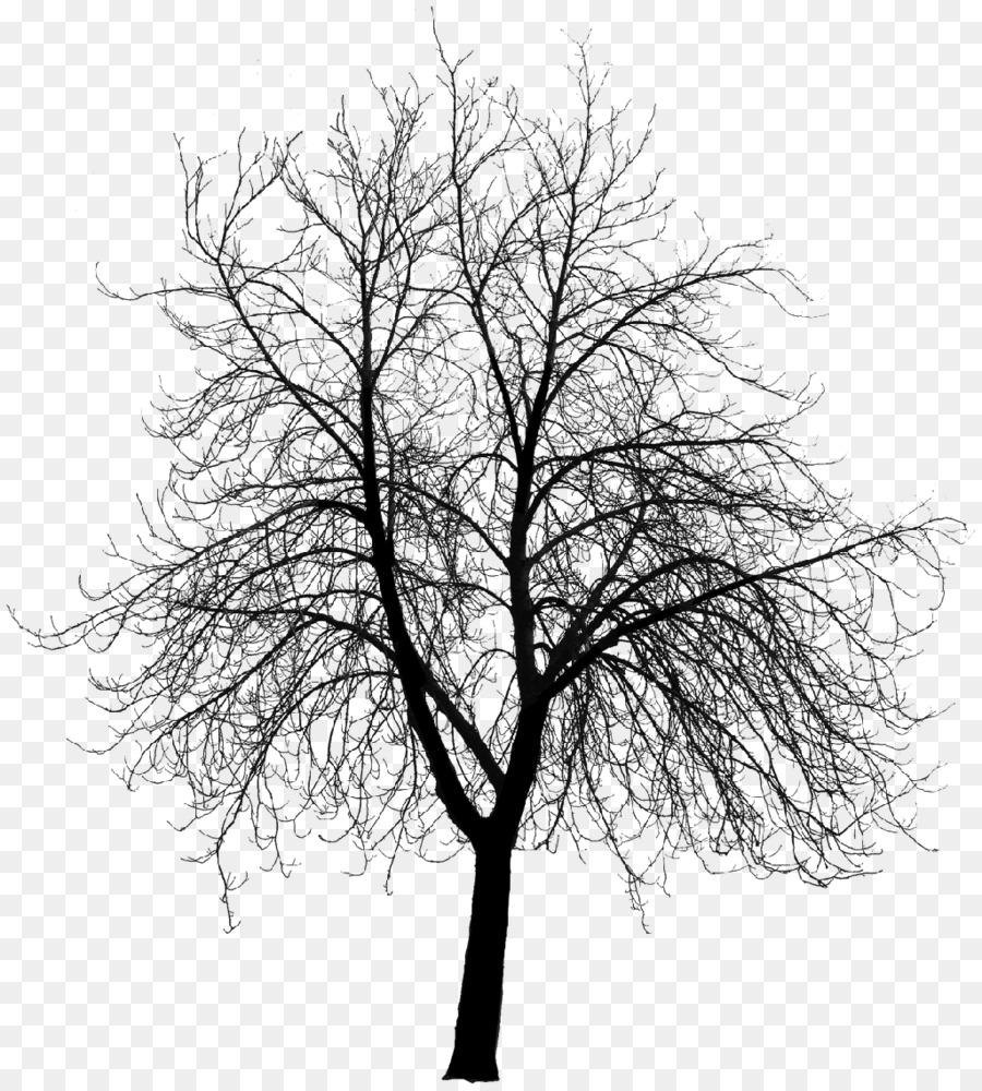 árbol，Silueta PNG