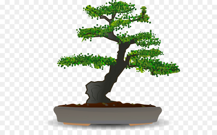 Bonsai，árbol PNG