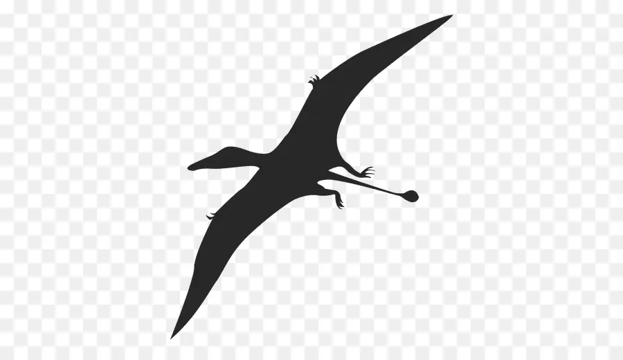 Pterodáctilos，Pterosaurios PNG