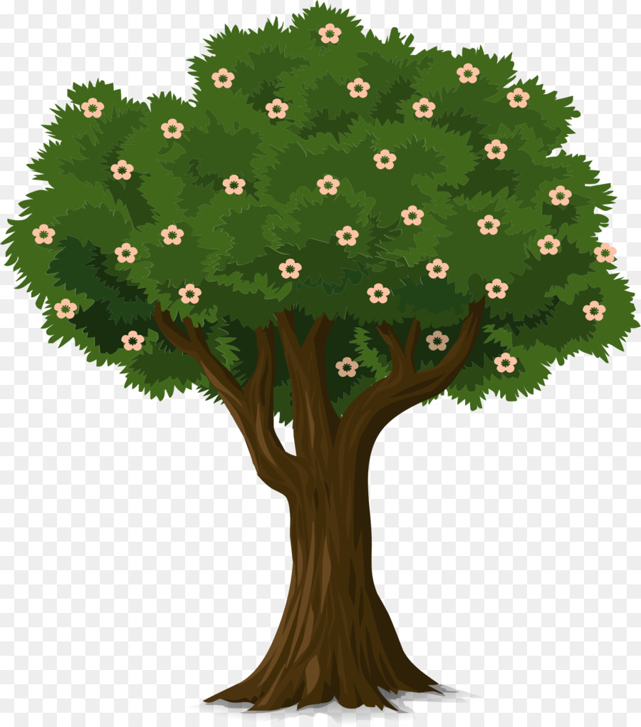 árbol，Tronco PNG