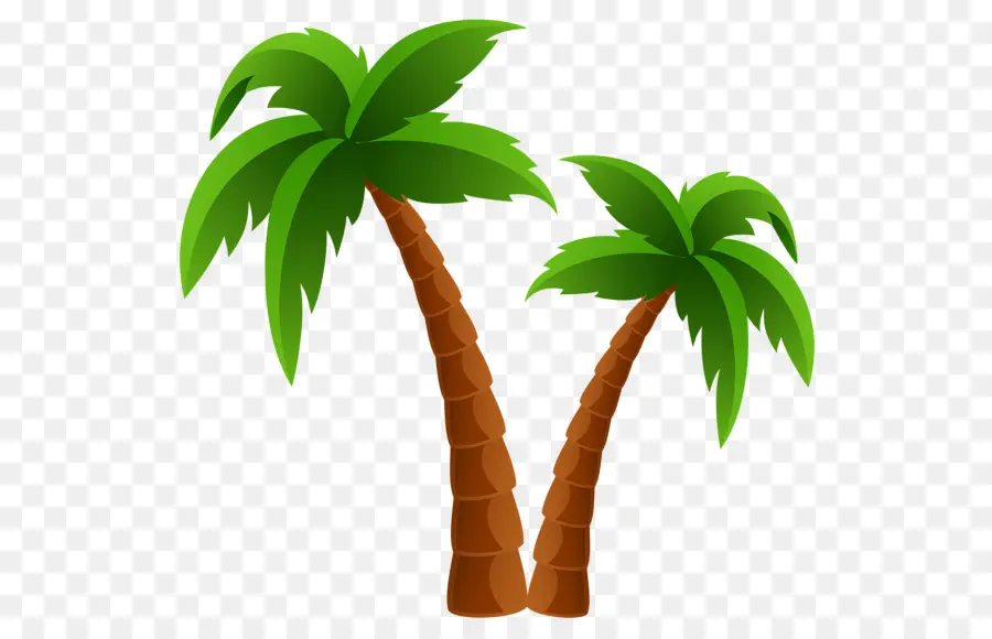 Palmera，Playa PNG