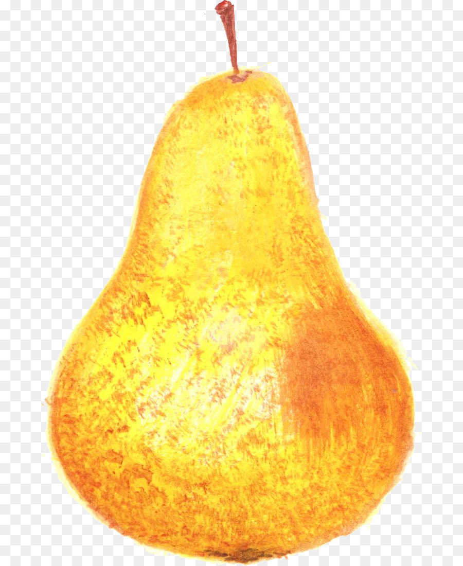 Calabaza，Cucurbita PNG