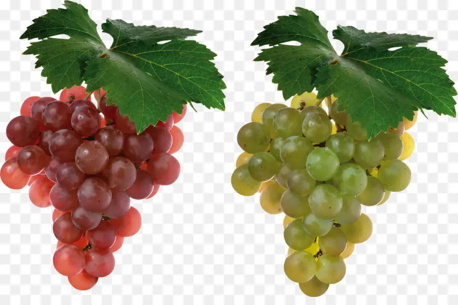 Uvas Rojas Y Verdes，Enredadera PNG