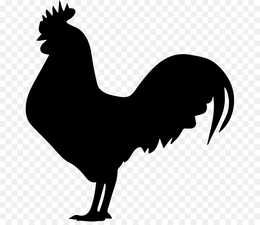 Gallo，Pollo PNG