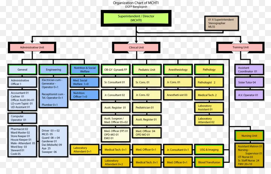 Organigrama，Organización PNG