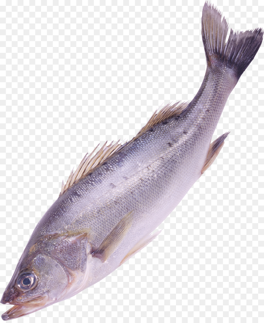 Los Peces，Trazado De Recorte PNG