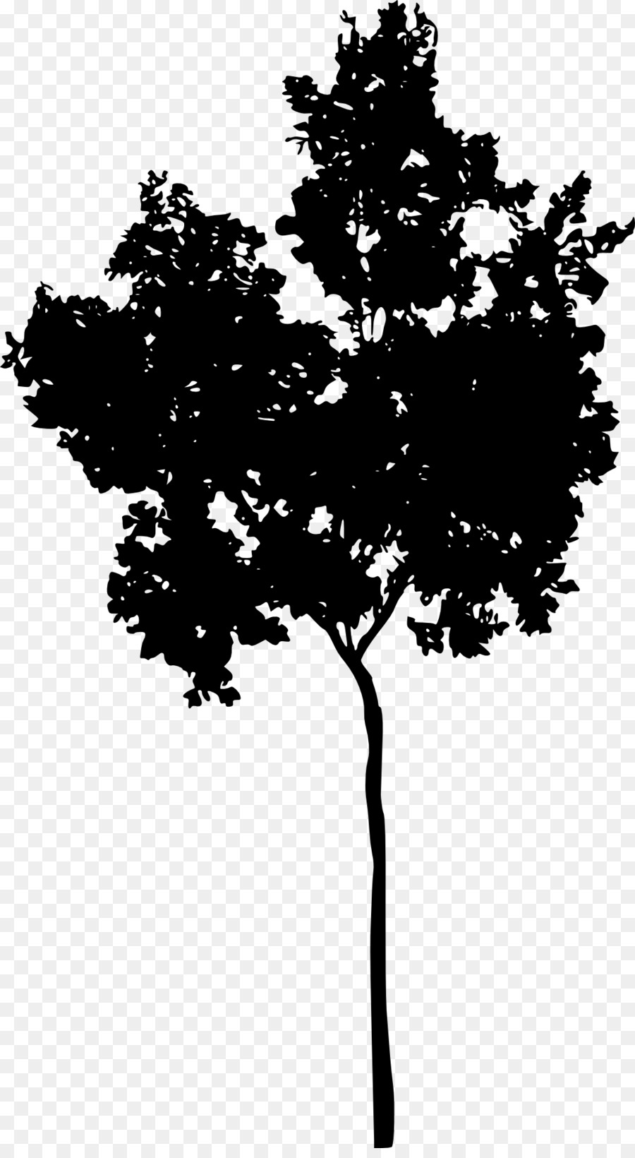 árbol，Planta Leñosa PNG