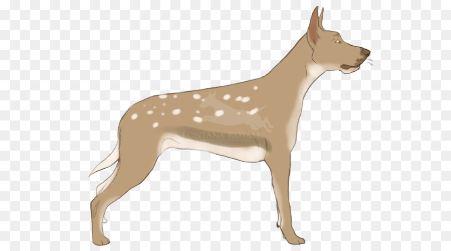 Perro，Mascota PNG