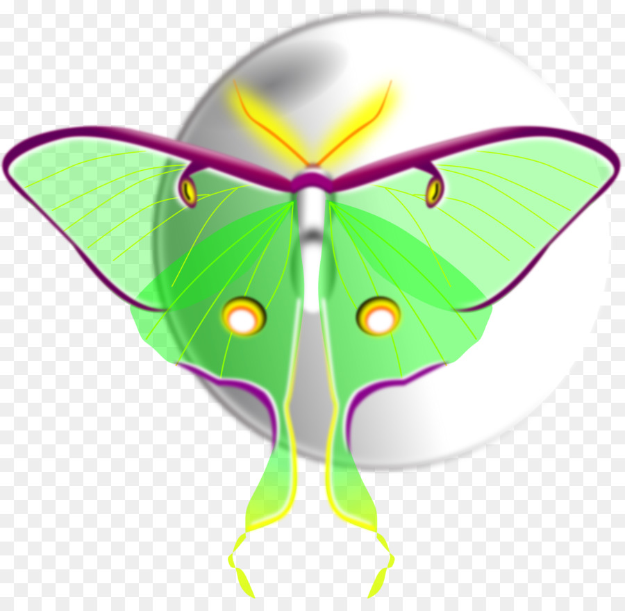 Mariposa，La Polilla PNG