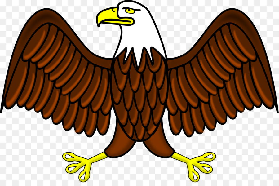 Águila，Pájaro PNG