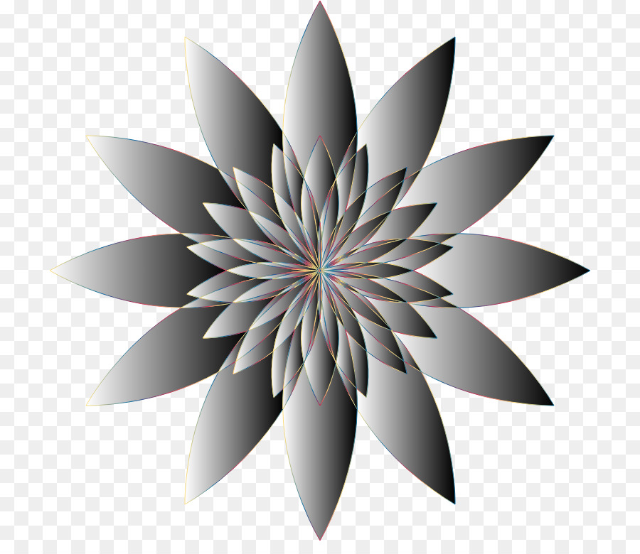 Flor，Computadora PNG