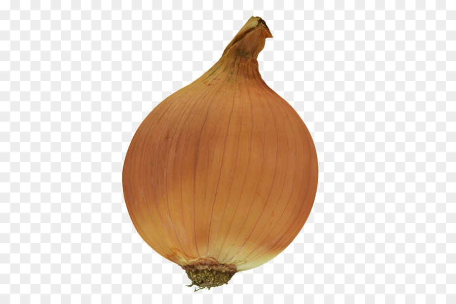 Cebolla Amarilla，La Chalota PNG