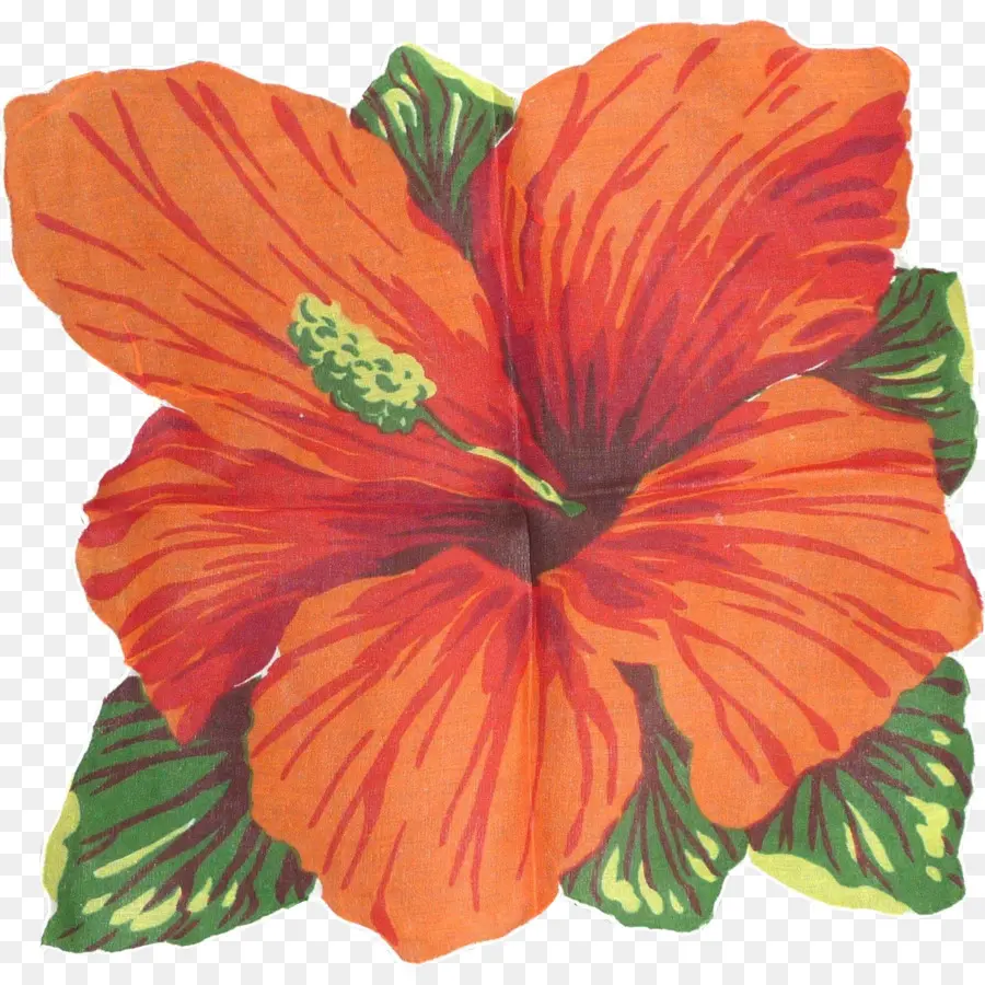 Malvados，Hibisco PNG