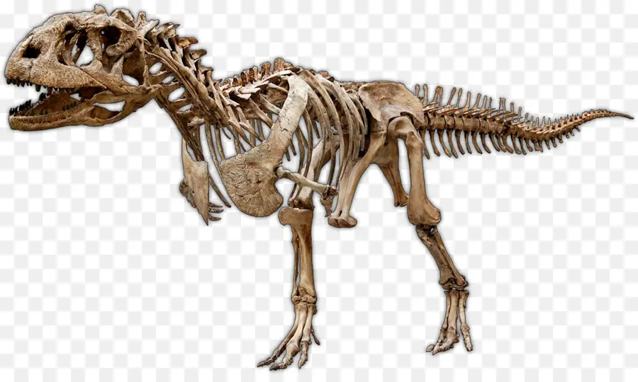 Majungasaurus，Cretácico Tardío PNG