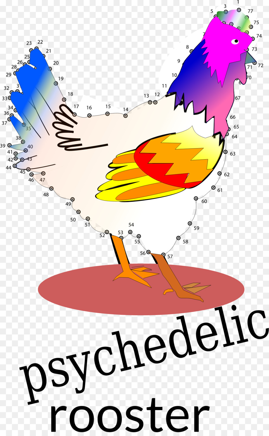 Pollo，Gallo PNG