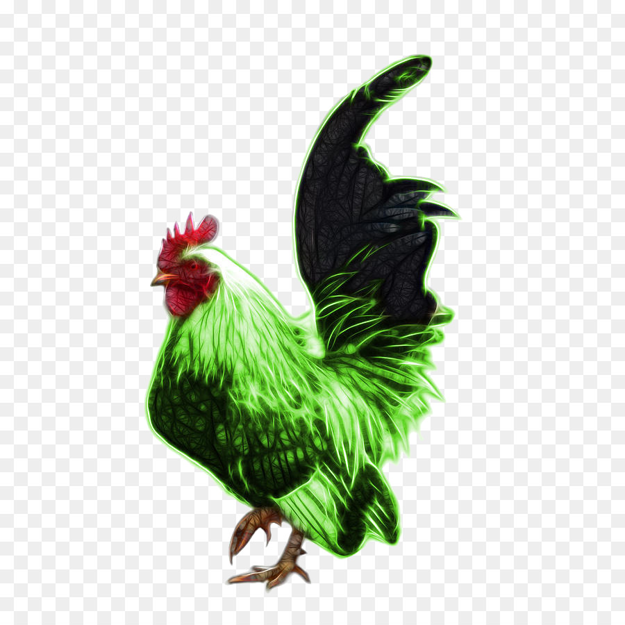 Gallo，Pollo PNG