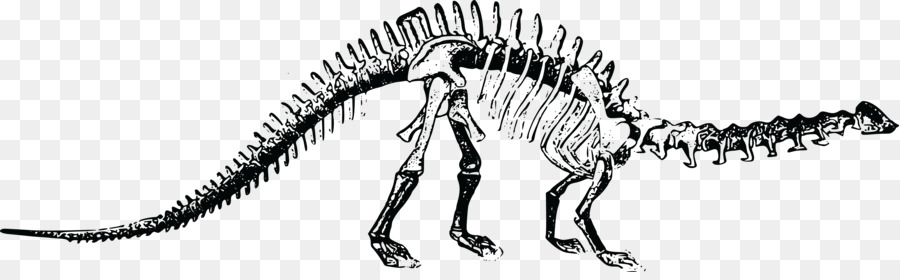 Brontosaurus，Tyrannosaurus PNG