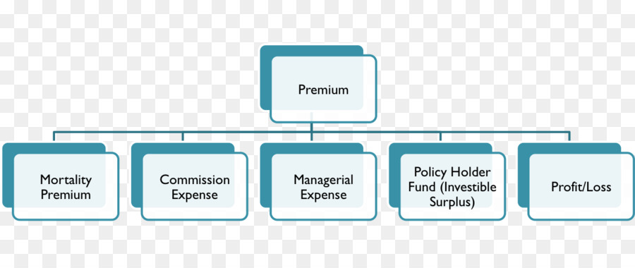 Estructura Organizativa，Organización PNG