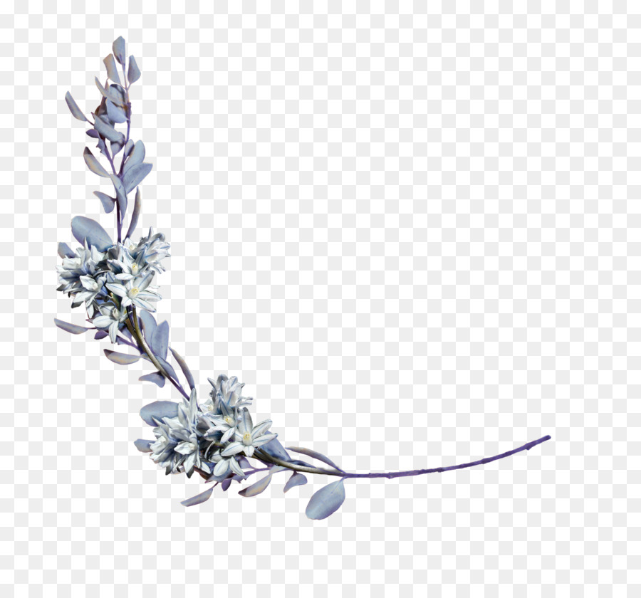 Lavanda，Púrpura PNG