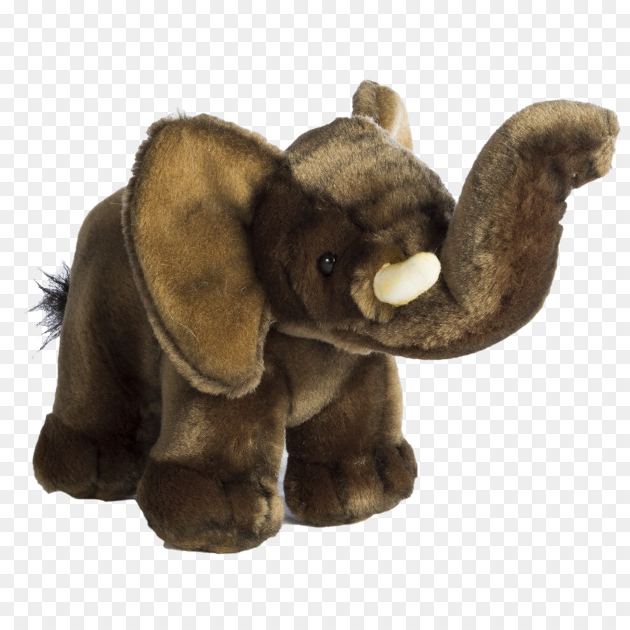 El Elefante Africano，Elefante PNG