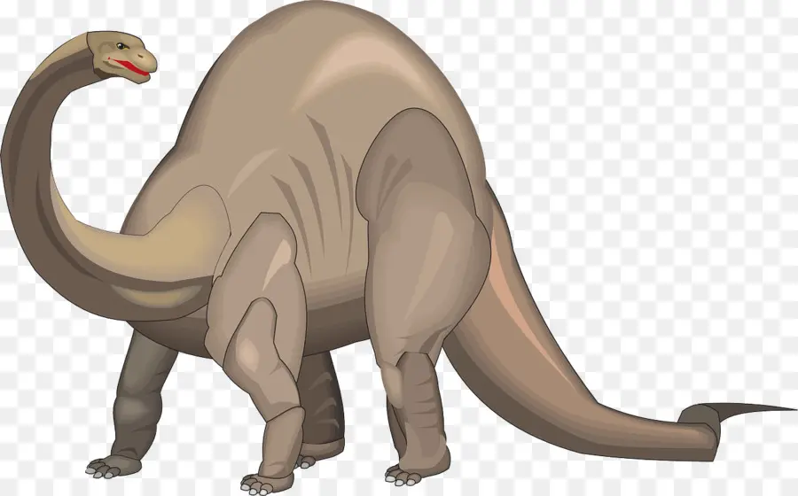 Brontosaurus，Apatosauro PNG