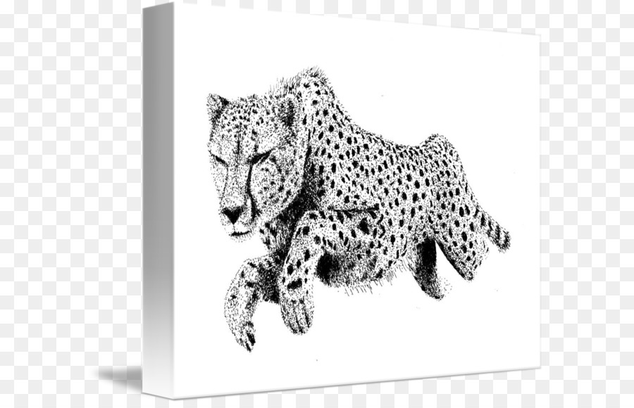 Cheetah，Leopard PNG