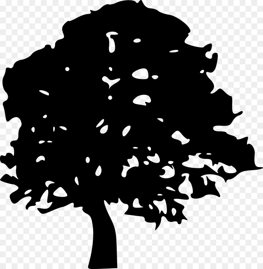 Silueta De Arbol，Planta PNG