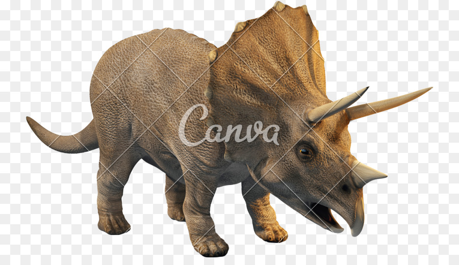 Triceratops，Brachiosaurus PNG