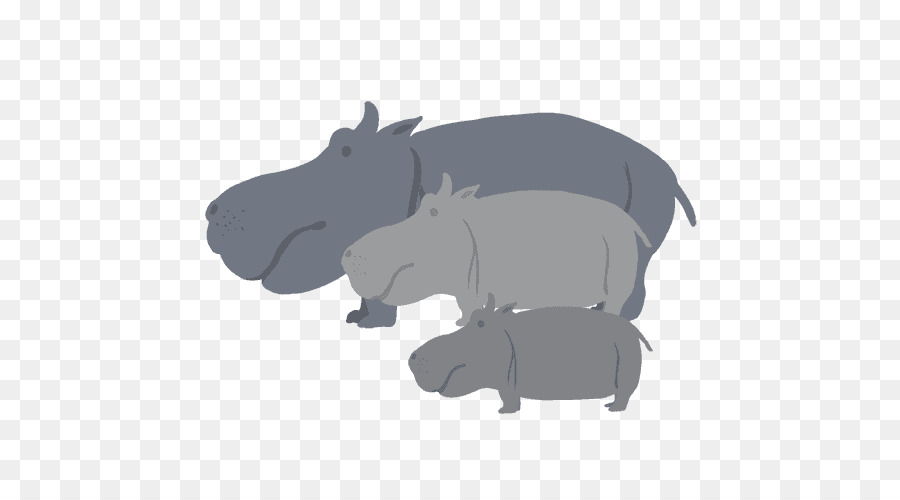 Hipopótamo，Cerdo PNG