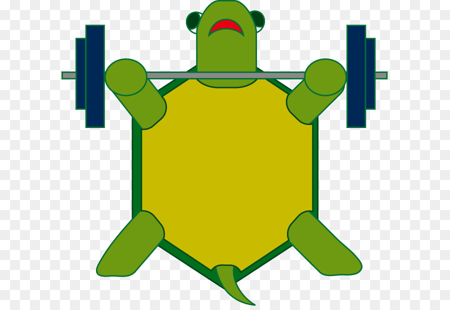 Tortuga，Animal PNG