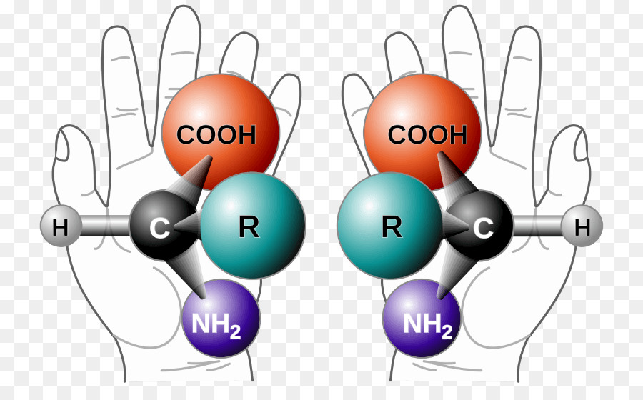 La Quiralidad，Stereocenter PNG