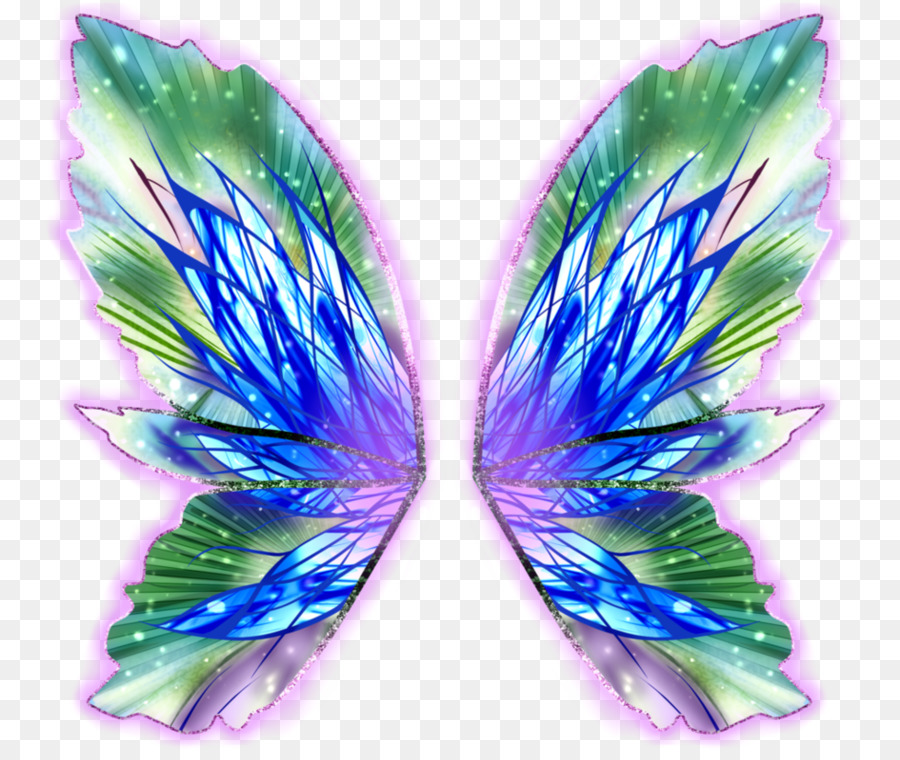 Alas De Mariposa Coloridas，Naturaleza PNG