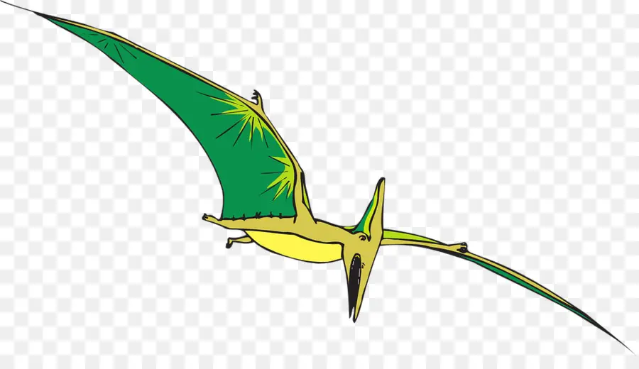 Pterodáctilo，Vuelo PNG