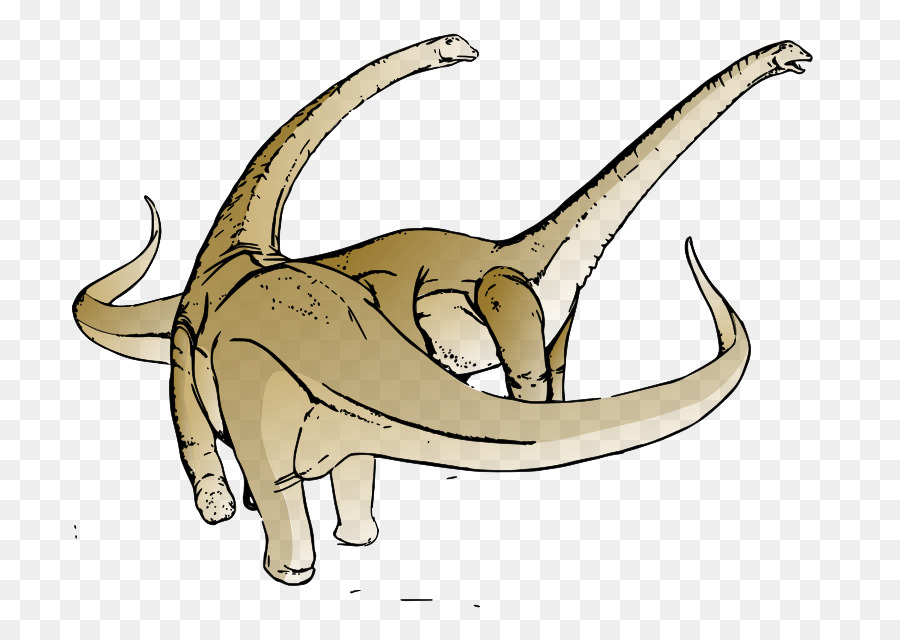 Alamosaurus，Tyrannosaurus PNG