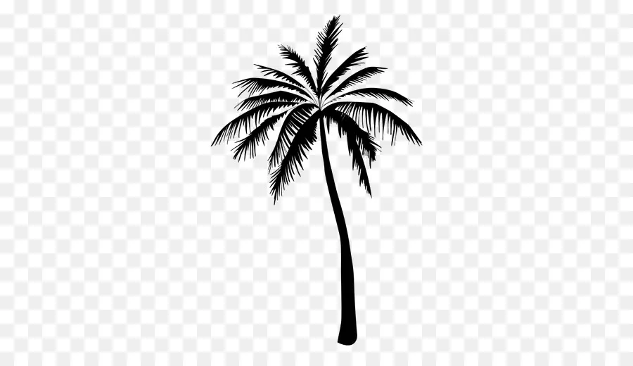 Palmera，Hojas PNG