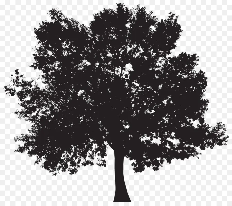 Tree，Royaltyfree PNG