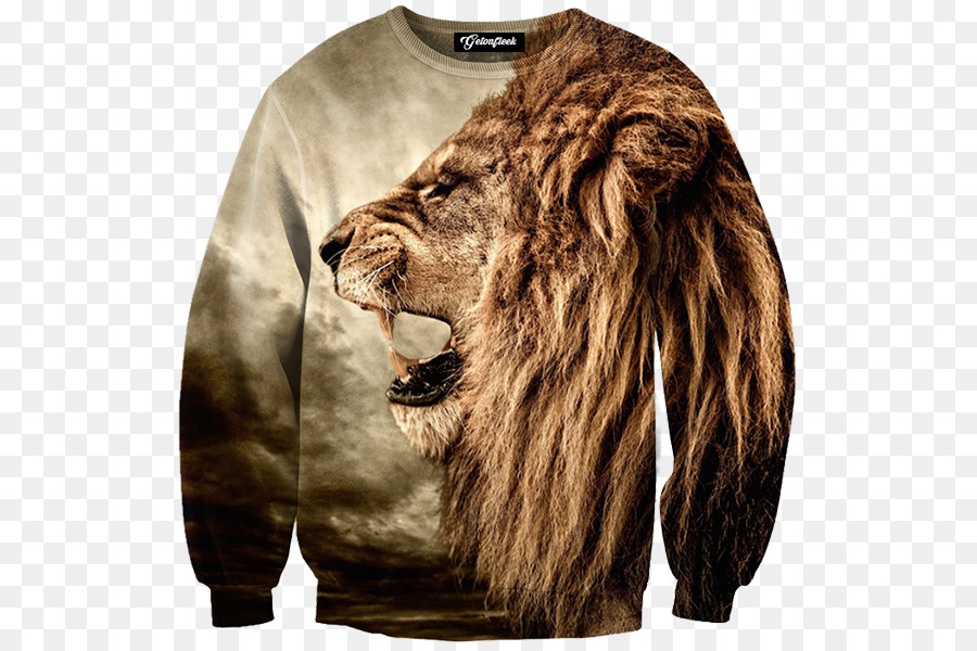 Camiseta，Sudadera Con Capucha PNG