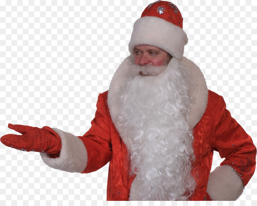 Santa Claus，Ded Moroz PNG